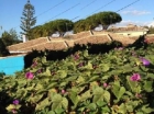 Chalet con 1 dormitorio se vende en Marbella, Costa del Sol - mejor precio | unprecio.es
