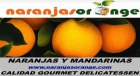 Naranjas Orange - mejor precio | unprecio.es