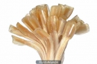 EXTENSIONES DE KERATINA - mejor precio | unprecio.es