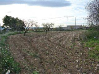 Terreno/Finca Rstica en venta en Raspay, Murcia (Costa Cálida)