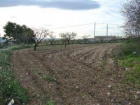 Terreno/Finca Rstica en venta en Raspay, Murcia (Costa Cálida) - mejor precio | unprecio.es