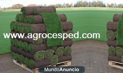 Cesped natural en rollos Agrocesped