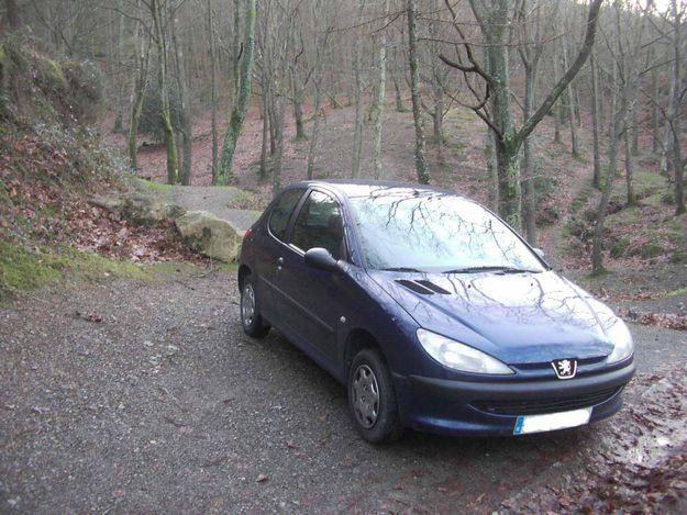 Peugeot 206 1.4 XR 75 cv