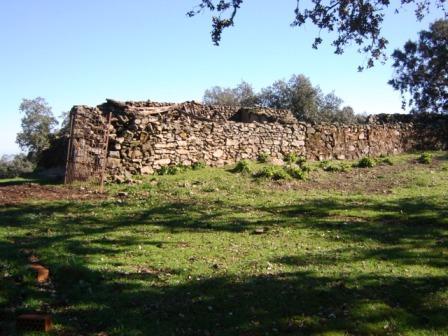 Preciosa finca de encinas y alcornoques. posibilidad montar negocio rural