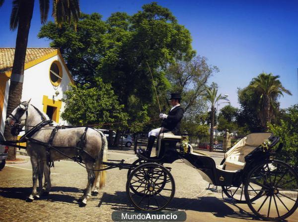 alquiler de coche de caballo