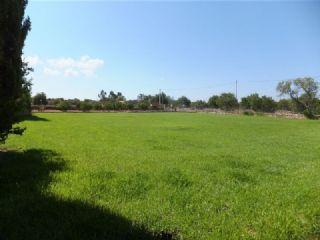 Finca/Casa Rural en venta en Llucmajor, Mallorca (Balearic Islands)