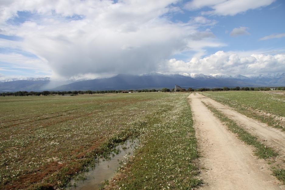 Finca de regadio 360 has ciudad real