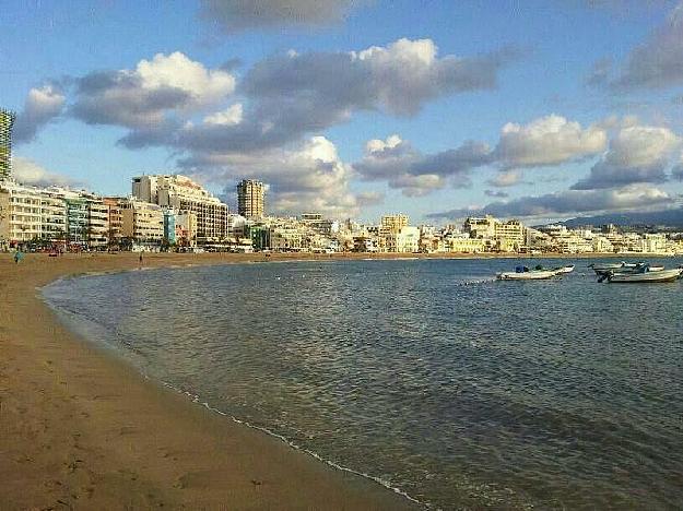 Estudio en Palmas de Gran Canaria(Las)