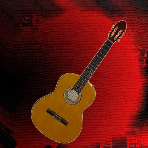 Guitarra Española + Funda