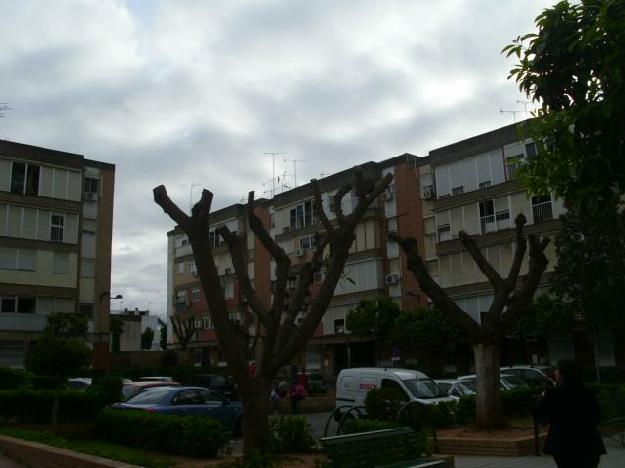 Piso en Dos Hermanas