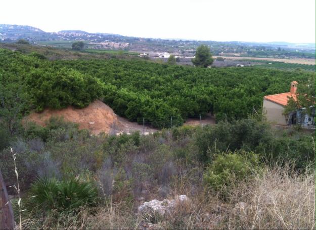 Vendo parcela en calicanto (san miguel)