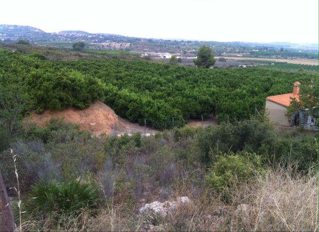 Vendo parcela en calicanto (san miguel)