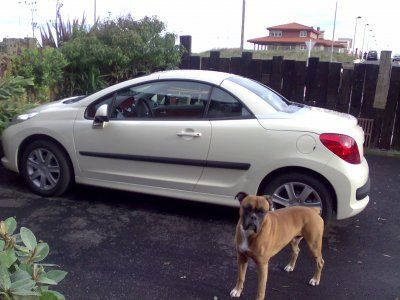 PEUGEOT 1007 CC - VIZCAYA