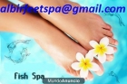 ictioterapia feet spa garra rufa peces - mejor precio | unprecio.es