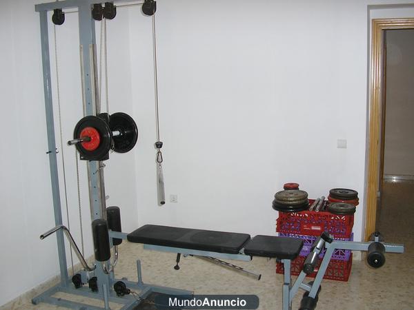 gimnasio de musculacion con 3 maquinas
