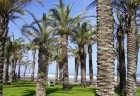 Venta de piso moderno en la costa del sol, torremolinos playa - mejor precio | unprecio.es