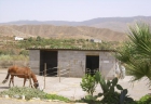Alojamiento para caballos - mejor precio | unprecio.es