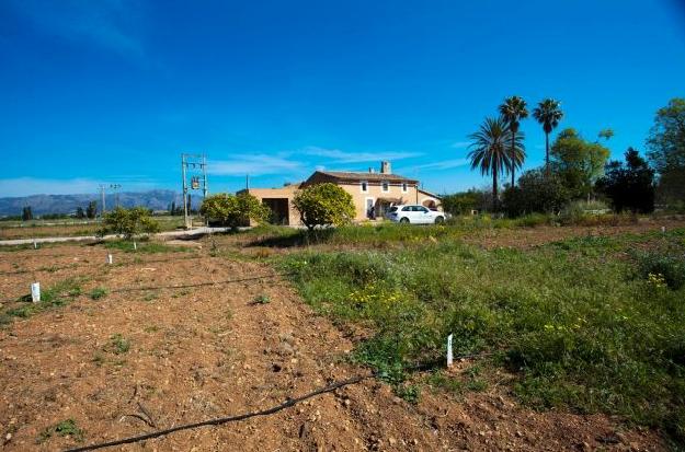 Chalet en venta en Marratxí, Mallorca (Balearic Islands)