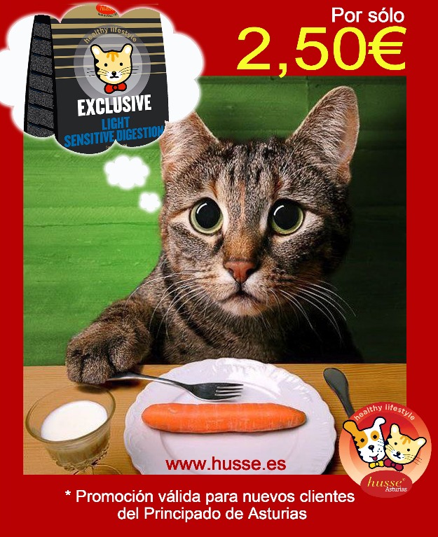 Pienso Super Premium Para Gato 2,50€
