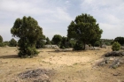 FINCA  RUSTICA EN LEON DE 40 HAS. - mejor precio | unprecio.es
