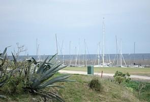 Pebble Beach amarilla golf