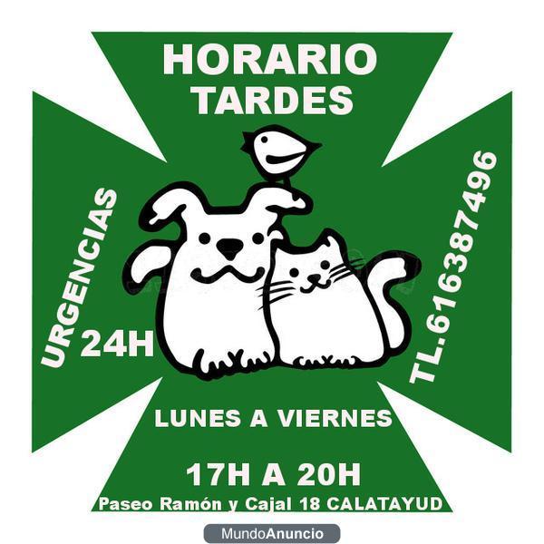 UNICOS EN CALATAYUD VETERINARIO 24H