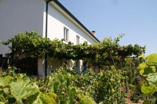 Casa : 4/4 personas - mesao frio  alto duero  tras os montes e alto douro  portugal