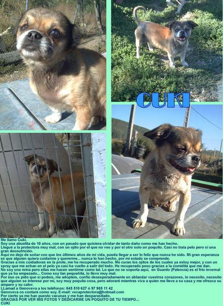 CUKI, UNA ABUELITA DE 10 AÑOS CASI CIEGA Y LLENA DE ESPERANZA