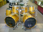 Premier Signia Maple 8 Piece Drum Set Percussion Rare - mejor precio | unprecio.es