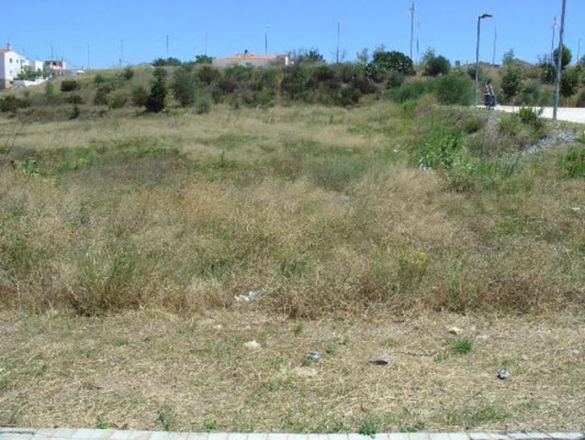 Parcela edificable de 982 m2 en Sta Agnes de Malanyanes