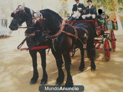 Alquiler coche de caballo para feria abril