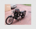 HARLEY DAVIDSON SPORTSTER 1200 - mejor precio | unprecio.es