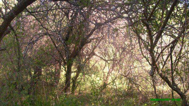 Venta lotes únicos en córdoba argentina