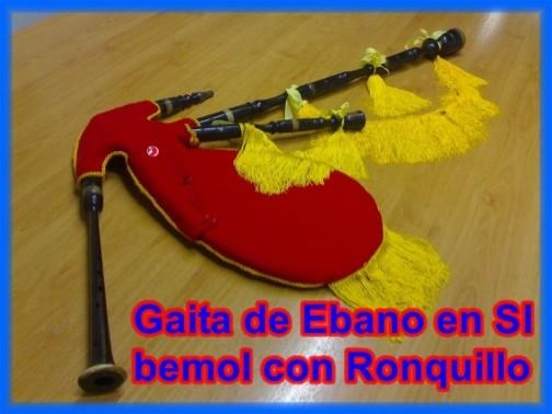 VENDO GAITA DE EBANO EN SI BEMOL CON RONQUILLO