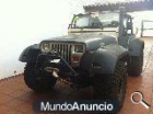 Jeep Wrangler YJ 4.0L PREPARACION EXTREMA - mejor precio | unprecio.es