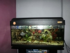 VENDO ACUARIO 100 L. POCO USO - mejor precio | unprecio.es