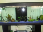 acuario de 100 l con mueble y accesorios - mejor precio | unprecio.es