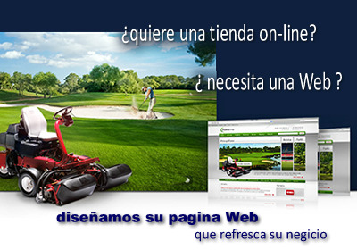 Diseño tiendas y paginas Web