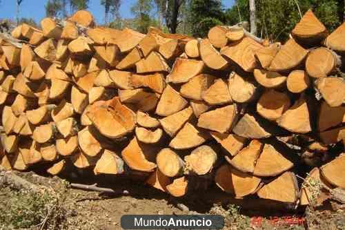 LEÑA DE ENCINA Y ROBLE PARA ESTUFAS Y CHIMENEAS