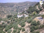 Finca/Casa Rural en venta en Algarinejo, Granada (Costa Tropical) - mejor precio | unprecio.es