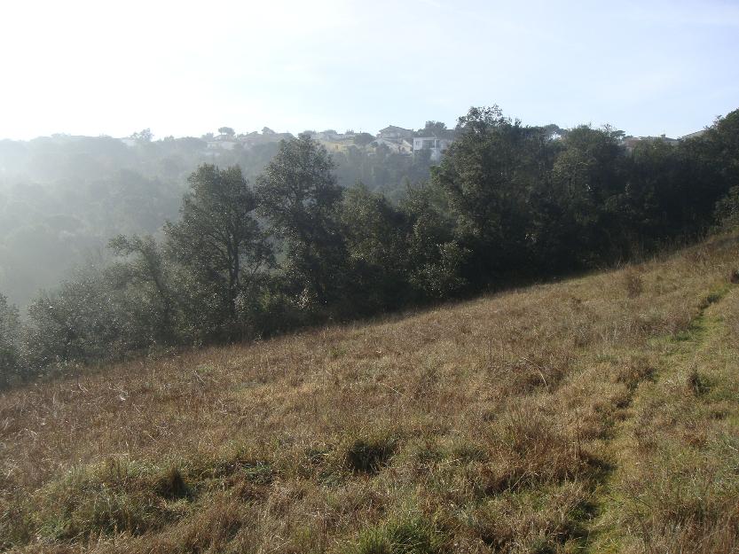 Terreno rustico de 3 hectáreas en maçanet de la selva ref:3213