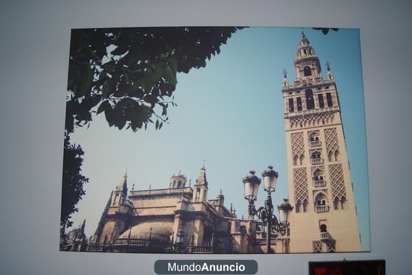 Lienzo cuadro Sevilla Giralda