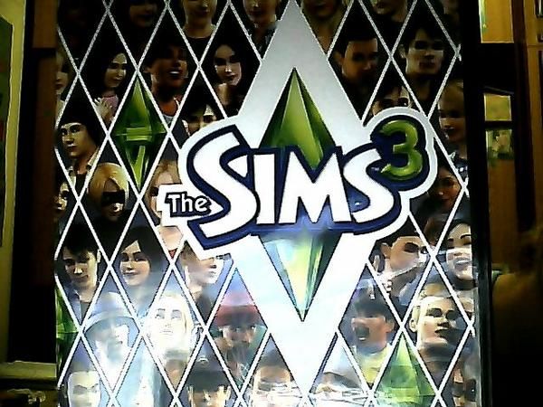 Vendo los Sims 3