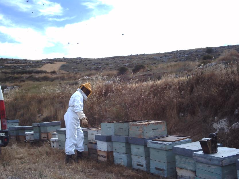 Abiamiel  Pedro vende miel recogida en el norte de Castilla y León