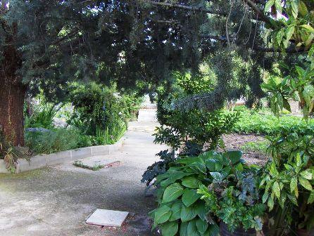Chalet en Tiemblo (El)
