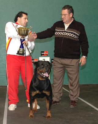 Impresionante camada de  rottweiler