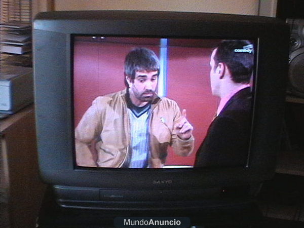 vendo televisor Sanyo