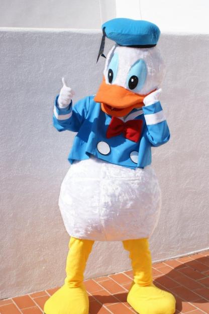 Disfraz cabezón de Pato donald y otros