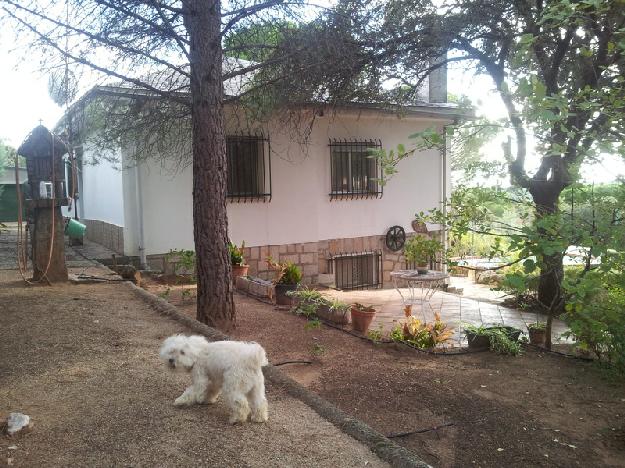 Chalet en Villa del Prado