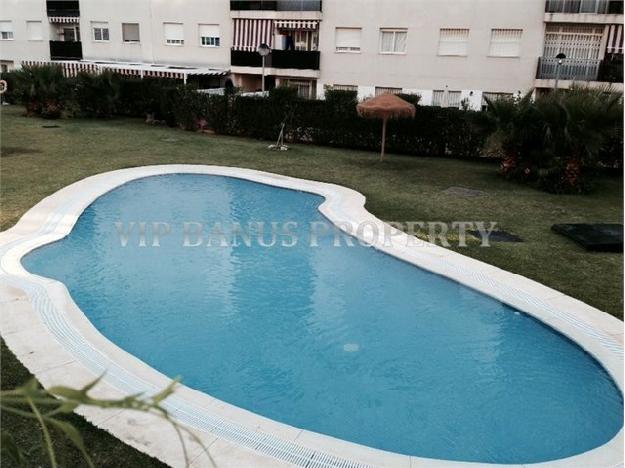 Vip Banus Property